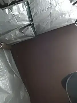 HTXBELLE online show from 12.05.25