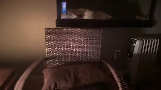 DominantDong online show from 02.28.25