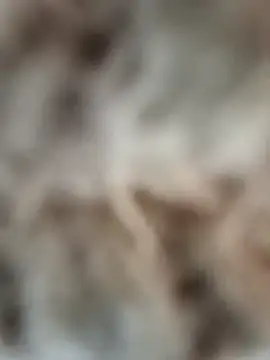 mauroxx08 online show from 04.05.26