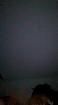 Jojofunnyxx online show from 02.24.25