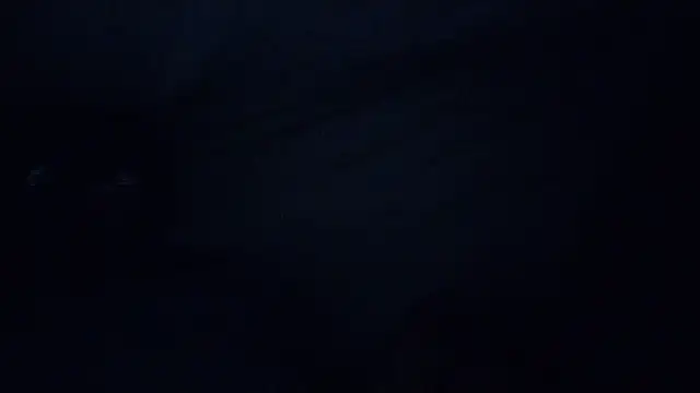 Mrpito7878 online show from 03.08.25