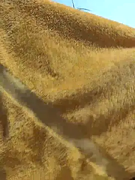 Tocameamor online show from 02.21.26