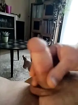 Davestco31 online show from 03.12.25