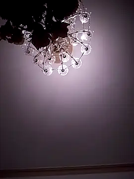 Snapshot of Israel1313_ chatting on 02.23.25 Israel1313 online show from 02.23.25