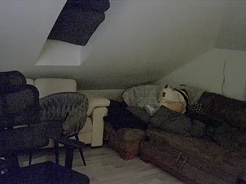 Snapshot of gryzoon chatting on 10.11.25 gryzoon online show from 10.11.25