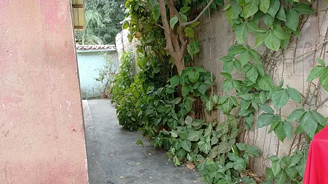 twinks 28 online show from 01.17.26