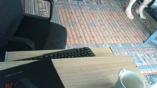 Openmind 42 online show from 03.12.25