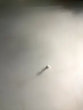 Snapshot of 1Zoey101 chatting on 12.18.25 1Zoey101 online show from 12.18.25