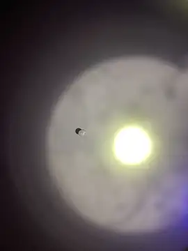 1Zoey101 online show from 03.30.26