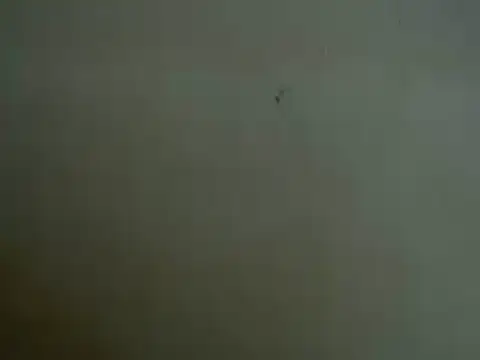 Snapshot of mayra89 chatting on 03.29.26 mayra89 online show from 03.29.26
