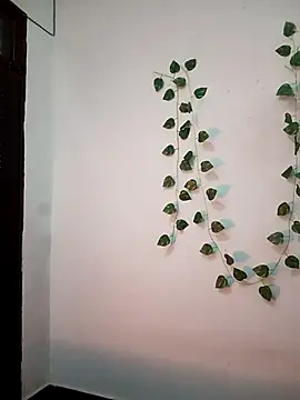 Neha-Bhabhi-Rasily online show from 02.20.26