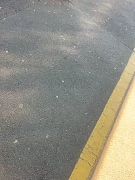 sohasenki online show from 04.04.26