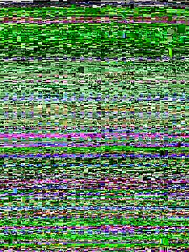 RightFielder online show from 11.25.25