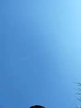 Anthopassif84 online show from 03.17.25