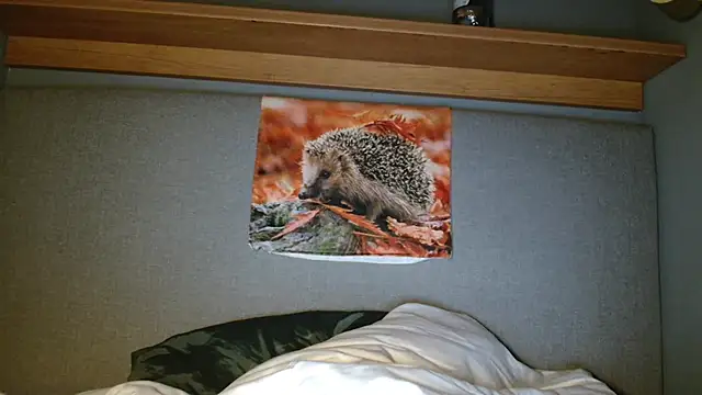 Snapshot of Saysay-7 chatting on 10.05.25 Saysay-7 online show from 10.05.25