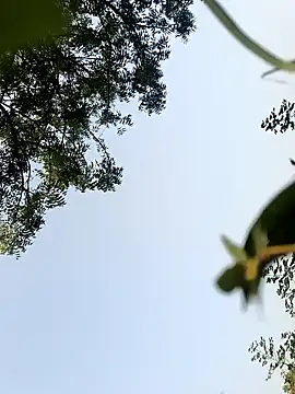 himvilohi08 online show from 10.22.25