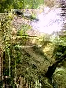 himvilohi08 online show from 03.16.26