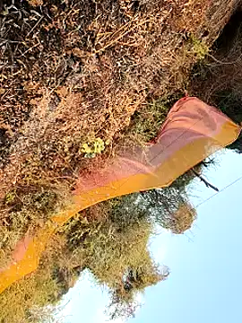 himvilohi08 online show from 03.25.26