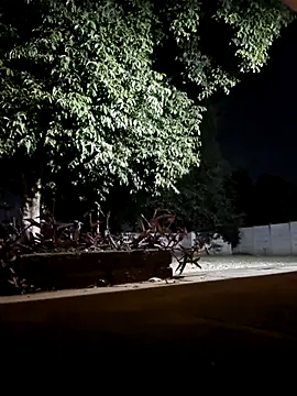 bakedsnackmmh online show from 02.19.26