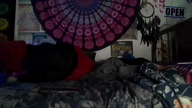 GardeniaFields online show from 02.09.26