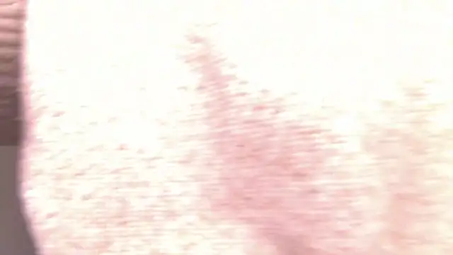 MiraBliss online show from 02.22.26