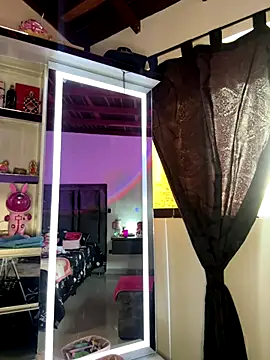 Paulet Johnson online show from 11.23.25