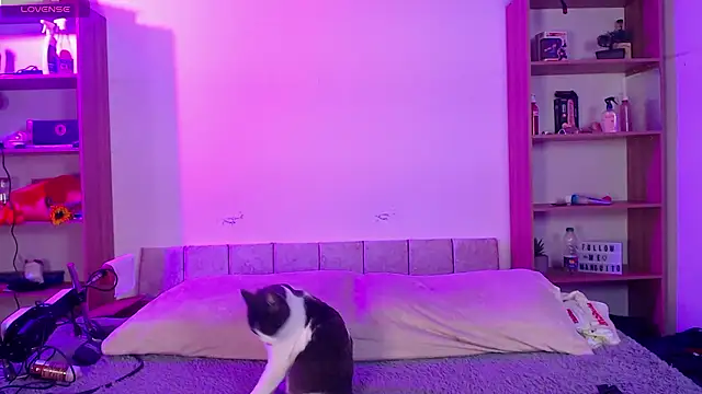 Soy mangx online show from 01.11.26