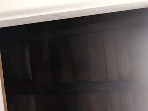 Nick-Ox online show from 09.28.25