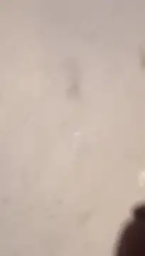 Nick-Ox online show from 03.13.26