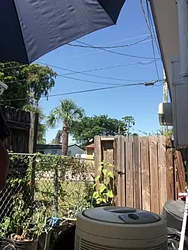 anthonyroth online show from 03.21.25