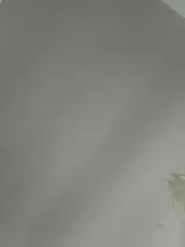 Foxdaguy online show from 05.30.26
