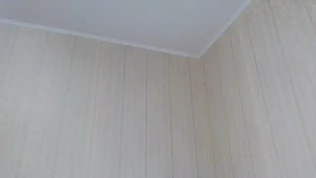 Snapshot of _Black-Panther_ chatting on 10.02.25 Black-Panther online show from 10.02.25