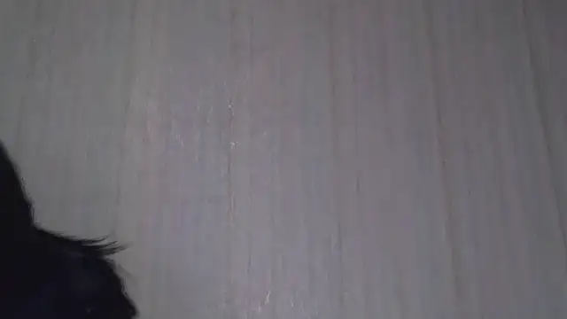 Snapshot of _Black-Panther_ chatting on 10.20.25 Black-Panther online show from 10.20.25