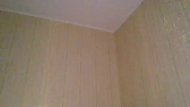 Snapshot of _Black-Panther_ chatting on 11.12.25 Black-Panther online show from 11.12.25