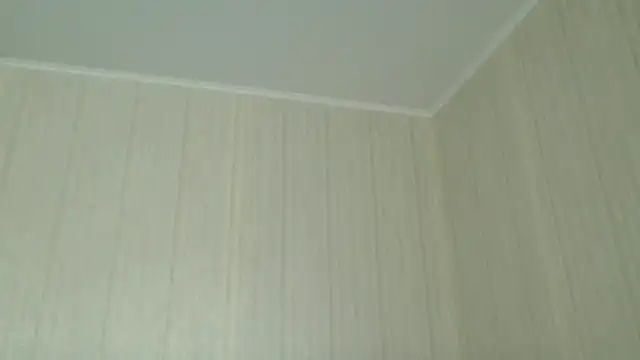 Snapshot of _Black-Panther_ chatting on 04.25.26 Black-Panther online show from 04.25.26