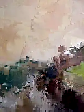 tarabhai11 online show from 11.28.25