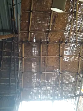 hot integer online show from 06.21.26