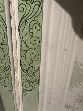 Snapshot of dilu98 chatting on 03.18.25 dilu98 online show from 03.18.25