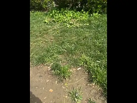 giyasbvnghkgkfk online show from 04.03.26