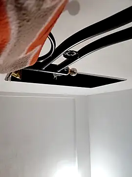 Snapshot of UAjit chatting on 10.04.25 UAjit online show from 10.04.25