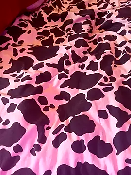 chahoda246 online show from 01.08.26