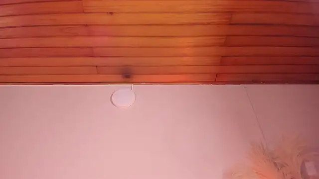 Snapshot of viol_collins__ chatting on 03.22.25 viol collins   online show from 03.22.25