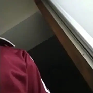 SunkLupus online show from 04.11.26