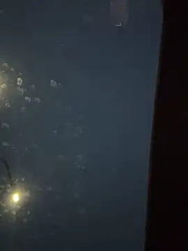 Snapshot of Eriksson00 chatting on 12.19.25 Eriksson00 online show from 12.19.25