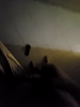 Snapshot of beto_juby777 chatting on 11.04.25 beto juby777 online show from 11.04.25