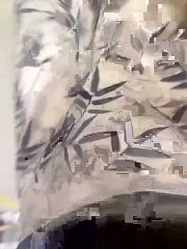 xiaoyuan01 online show from 10.10.25