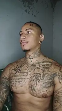 David tatto1 online show from 03.03.26