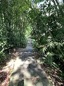 zack23088 online show from 10.18.25