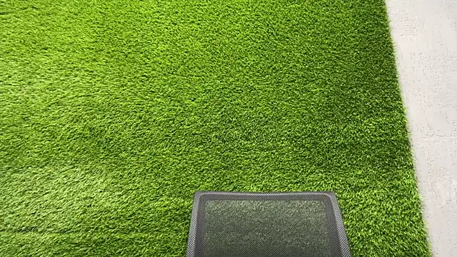 Snapshot of AshlyJoy chatting on 11.08.25 AshlyJoy online show from 11.08.25