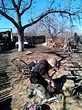 Alexilon online show from 03.10.26